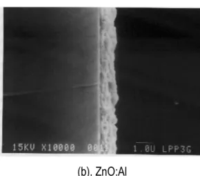 Gambar 7.  Hasil foto SEM struktur mikro, tampang lintang, (a). ketebalan lapisan 1,5 µm, (b)