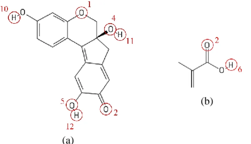 Gambar 2. Prediksi situs aktif (a) brazilein dan (b) asam metakrilat 