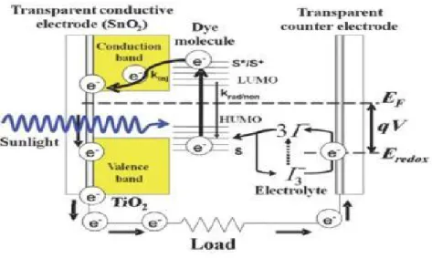 Gambar 2.2. Ilustrasi skema prinsip operasi dye sensitized solar cell.  Proses eksitasi  ini  di  tunjukkan dengan persamaan berikut :  