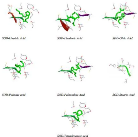 Gambar 1. Visualisasi interaksi ligan senyawa aktif dengan protein reseptornya 