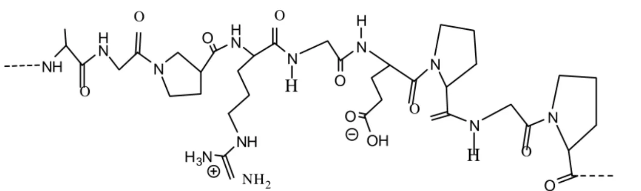 Gambar 6. Struktur molekul kitosan OHHHCH2OHHHOHNH2HO OCH2OHHNH2HOHOH