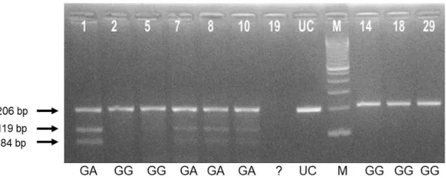 Gambar 1. Gena yang mengkode eNOS pada subyek kasus dipotong dengan enzim MBoI
