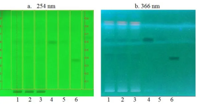 Gambar  5.    Kromatogram  Ekstrak  pada  254  dan  366nm [1 – 3 sampel, 4 asam gallat, 5 katekin dan  6 EGCG] 