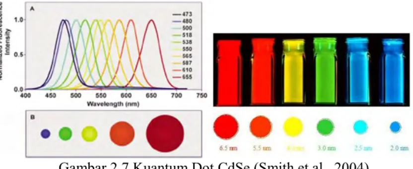 Gambar 2.7 Kuantum Dot CdSe (Smith et al., 2004) 