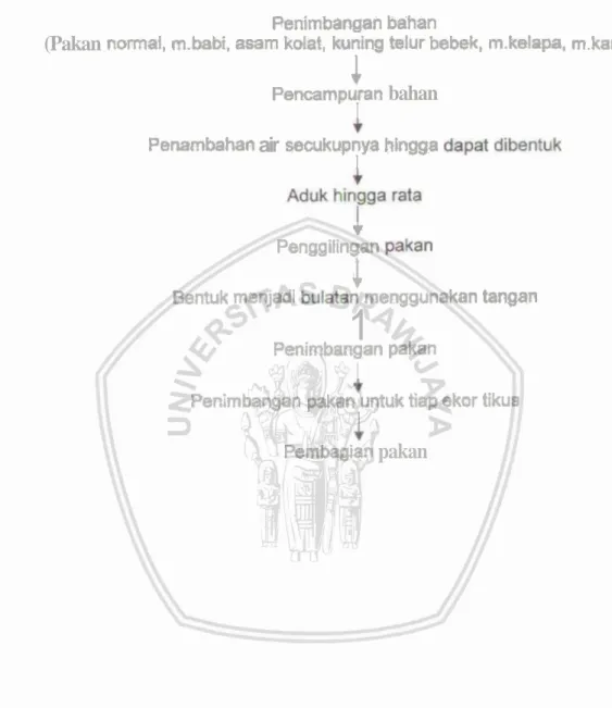 Diagram  Alur  ?e&amp;ua€an  Pakan  Diet  Atewgenik (Muwami,  dkk, 2003) 