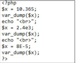 Gambar 3.8 Penulisan Tipe Data Floating Point. 