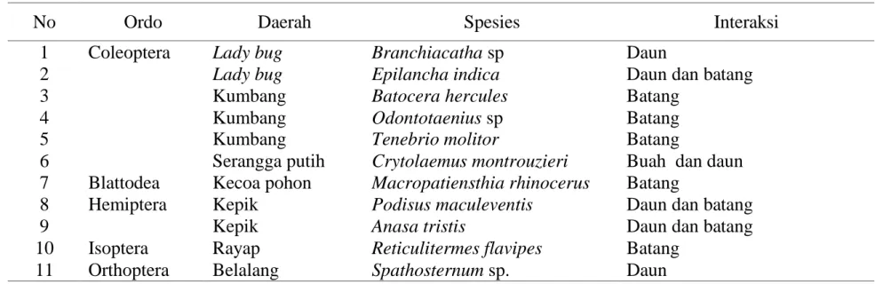 Tabel    2.  Spesies  Serangga  Hama  pada  Tanaman  Pala  (Myristica  fragrans)  di  Perkebunan  Desa  Batu Itam Kabupaten  Aceh Selatan