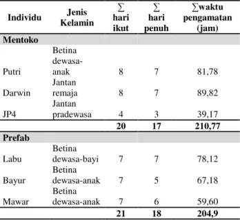 Tabel 1.  Individu orangutan yang diteliti 