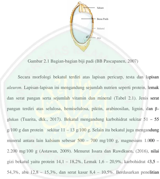 Gambar 2.1 Bagian-bagian biji padi (BB Pascapanen, 2007) 