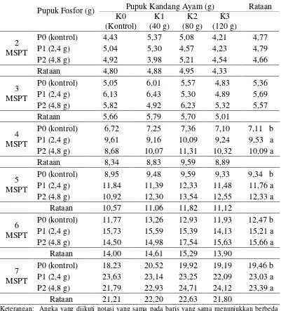 Tabel 1. Rataan tinggi tanaman 2-7 MSPT (cm) pada pemberian pupuk kandang ayam dan pupuk fosfor 
