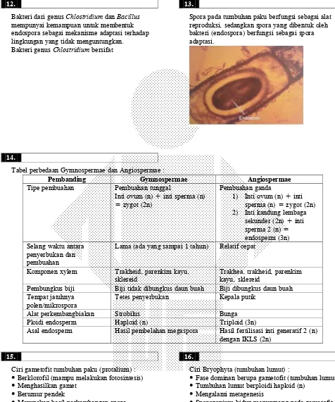 Tabel perbedaan Gymnospermae dan Angiospermae : 