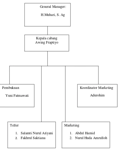 Gambar 2.1.2. Struktur Organisasi di BMT Al Hikmah Cabang Babadan 