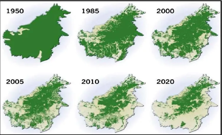 Gambar 1. Pengurangan luas tutupan hutan Borneo akibat kebakaran,pembalakan, dan alih fungsi hutan (Radday,  2007 )   
