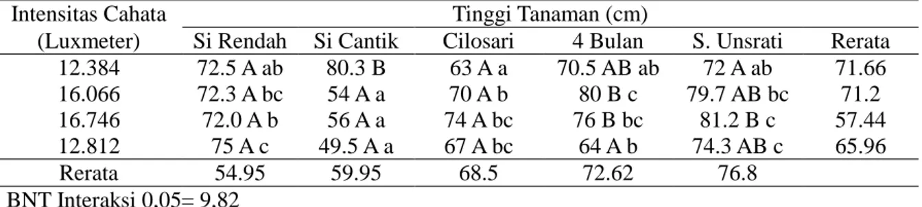 Tabel  5.  Pengaruh  Intensitas  Cahaya  di  gawangan  kelapa  sawit  terhadap  tinggi  berbagai  varietas tanaman padi   