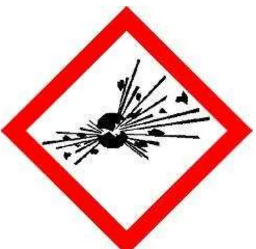 Gambar 2.1  Exploding Bomb Symbol (GHS Pictogram) 