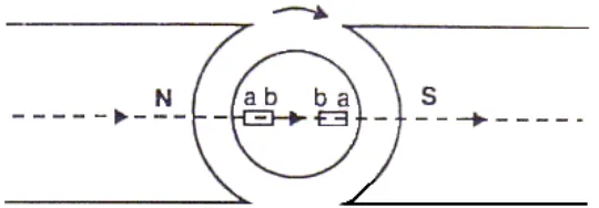 Gambar 3.2 menunjukkan jangkar yang berputar di dalam motor dua kutub. Dengan 