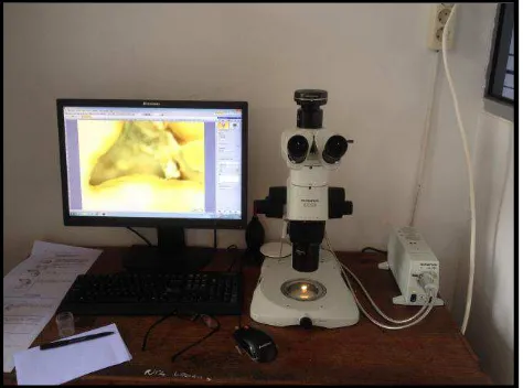 Gambar 6. Olympus SZX16 microscope39 