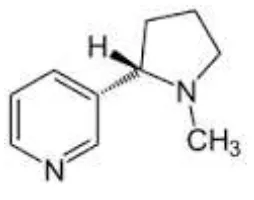 Gambar 1. Struktur Nikotin 