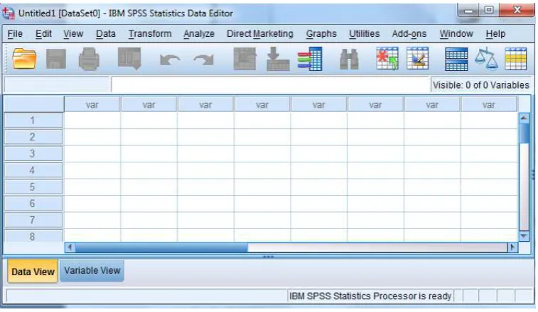 Gambar 18. Jendela data view SPSS 