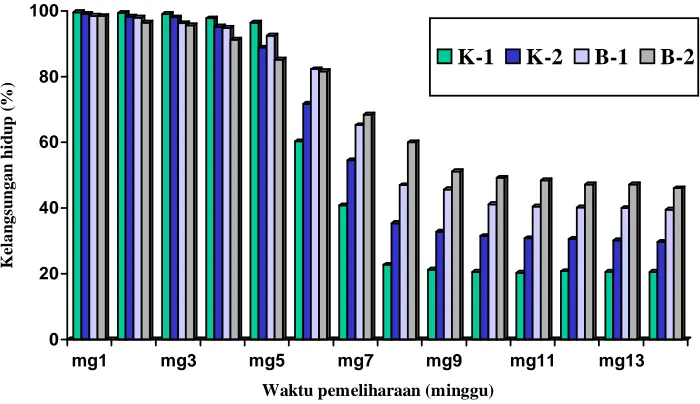 Tabel 2.  Nilai laju pertumbuhan harian, rasio konversi pakan harian dan rasio konversi pakan pada akhir penelitian (minggu ke-14) dari masing-masing ukuran hewan uji 