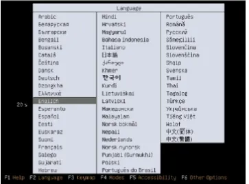 gambar 1. Screen pilih bahasa yang digunakan 