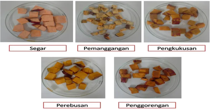 Gambar 1 Penampakan ubi jalar merah hasil berbagai proses pemasakan. 