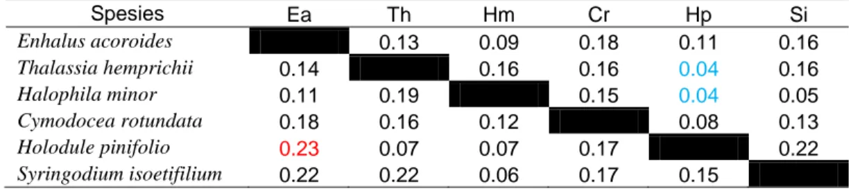 Tabel  3.  Hasil  analisis  tumpah  tindih  relung  mikrohabitat  jenis  lamun  di  Pulau  Manomadehe  Spesies  Ea  Th  Hm  Cr  Hp  Si  Enhalus acoroides     0.13  0.09  0.18  0.11  0.16  Thalassia hemprichii  0.14     0.16  0.16  0.04  0.16  Halophila min