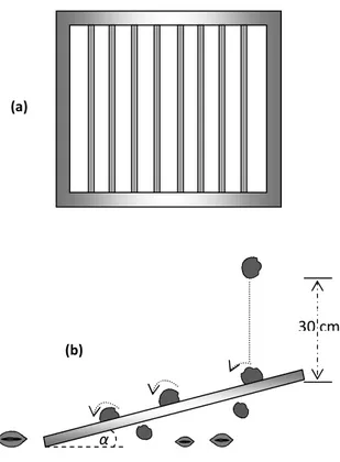 Gambar 3. Bentuk selektor (a) dan ilustrasi  penjatuhan kerang ke arah selektor (b) 