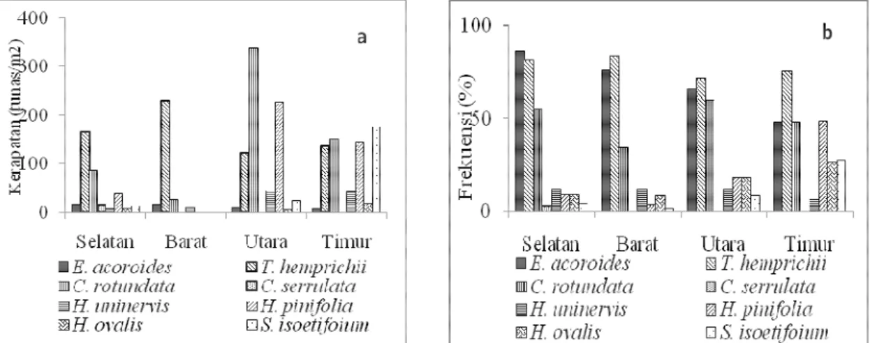 Gambar 4. Struktur komunitas lamun; (a) Kerapatan (tunas/m 2 ), dan (b) Frekuensi kemunculan (%)  Hasil  analisis  koresponden  kerapatan 