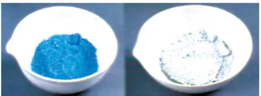 Gambar 7.  CuSO4.5H2O (kiri) dan CuSO4 (kanan) 