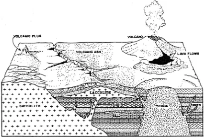 Gambar 2.3 Bentuk umum tubuh batuan beku pada kerak bumi 