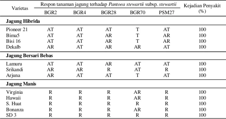 Tabel 4.  Respon beberapa varietas jagung terhadap infeksi Pantoea stewartii subsp. stewartii