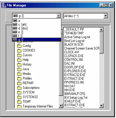 Gambar 17.3. Hasil Run  Program File Manager 