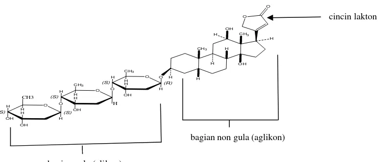 Gambar 2.2. Rumus struktur Glikosida jantung (Melero, et al., 2000)