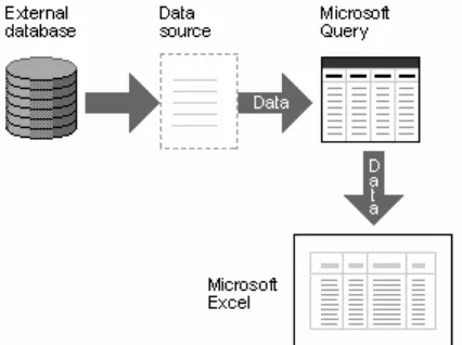 Gambar 6.1  Microsoft Query dan Excel 