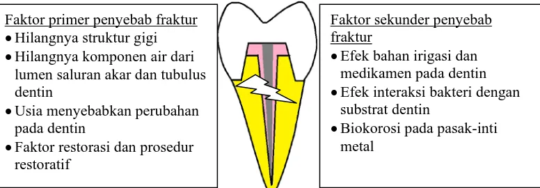 Gambar 3. Penyebab fraktur pada gigi yang telah dirawat endodonti 