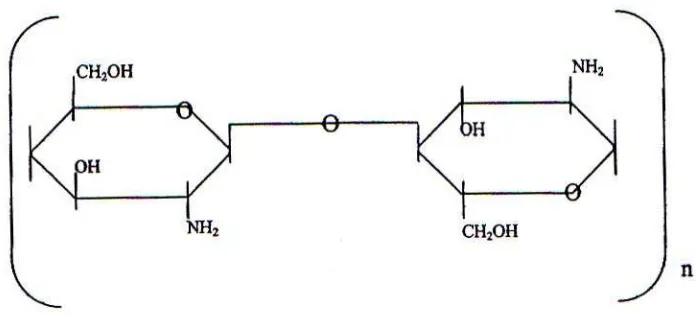 Gambar 2.1. Struktur Kitin Sumber, (Muzzarelli, 1977)  