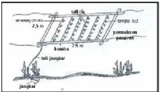 Gambar  1.  Metode  Rakit  Apung  (Floating  Raft  Method)  (  Hasil  rekayasa  dan  ilustrasi  peneliti) 