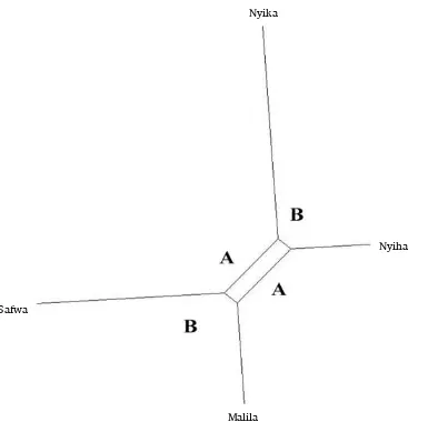 Figure 1. Sample network demonstrating ambiguity (adapted from Roth 2011:43). 