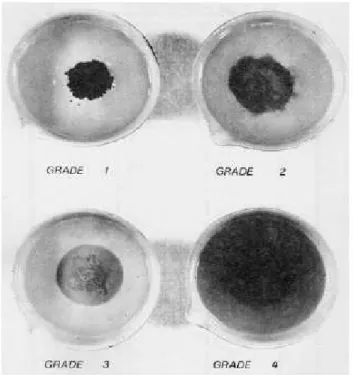 Gambar 3.5. Tingkat dispersivitas pada uji crumb (Acciardi, 1985)