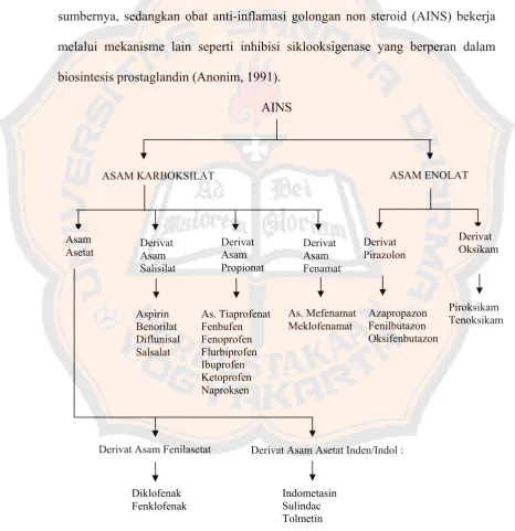 Gambar 5. Klasifikasi Obat Anti Inflamasi Non Steroid (AINS) (Wilmana, 1995) 