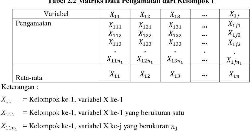 Tabel 2.2 Matriks Data Pengamatan dari Kelompok I 