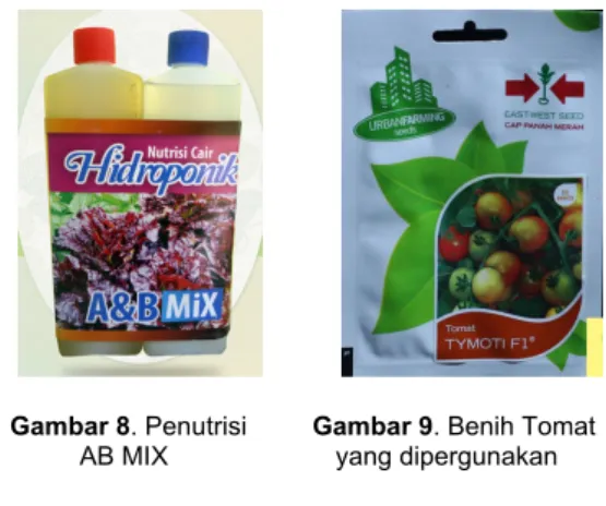 Gambar 6. Bibit Anggrek Bulan berusia remaja 
