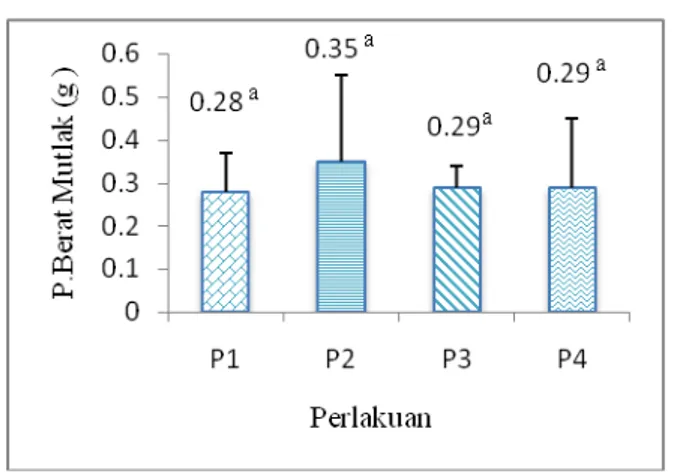 Gambar  1.  Pertumbuhan  panjang  mutlak  ikan  badut  dengan  periode  pemuasaan  yang  berbeda  (P1=  tanpa  pemuasaan,  P2  =  1  hari  dipuasakan  1  diberi  pakan,  P3  =  1  hari  dipuasakan 2 hari diberi pakan dan P4 = 1  hari dipuasakan dan 3 hari 