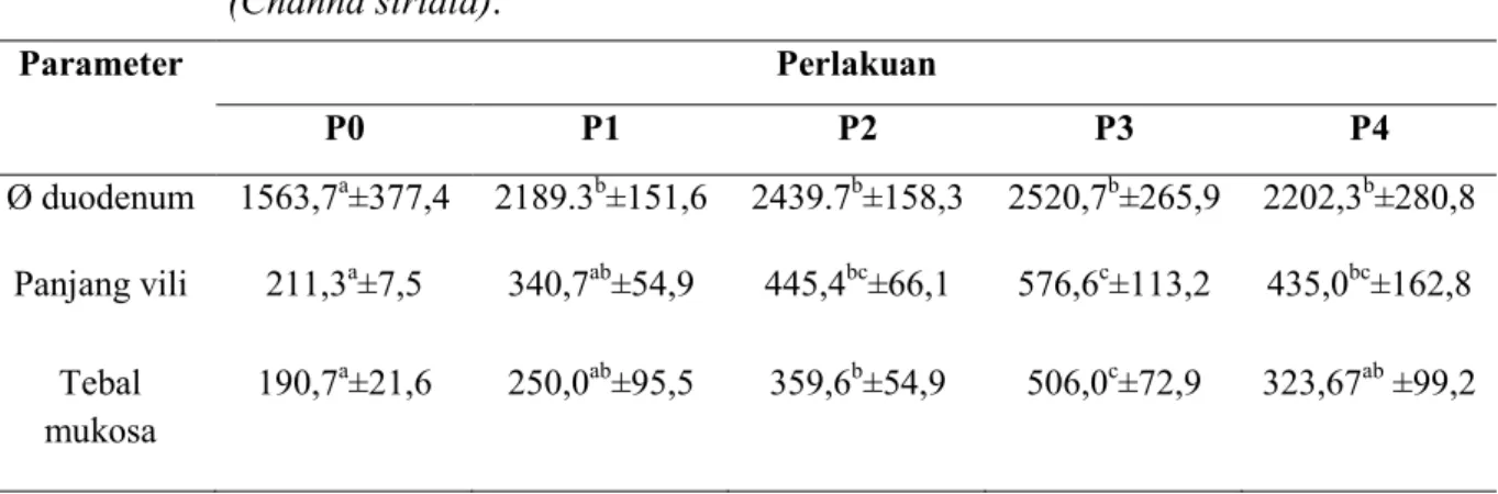 Tabel  1.  Hasil analisis rata-rata diameter, panjang vili, dan tebal lapisan mukosa  duodenum setelah perlakuan pakan dengan suplementasi daging ikan gabus  (Channa striata)