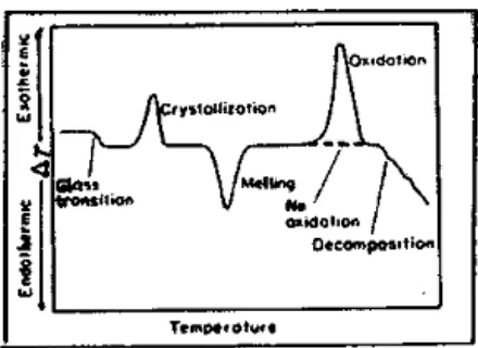 Gambar 2.8 Kurva DTA yang menunjukkan jenis-jenis perubahan yang terjadi pada bahan polimer selama proses pemanasan (Aisah et al, 2004) 