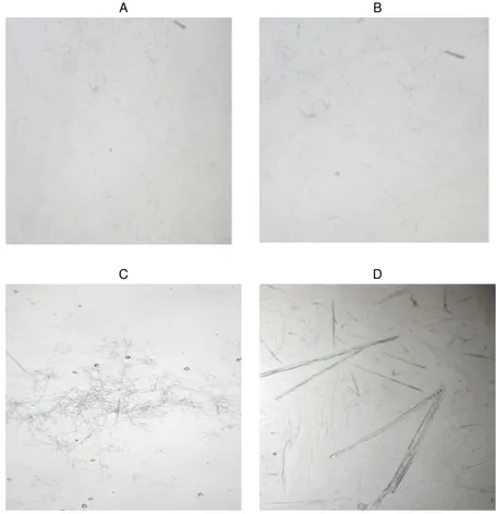 Gambar  1-  Gambar  mikroskopik  kalsium  oksalat  dari  getah  umbi  porang  (A),  suweg  (B),  walur  (C)  dan  standar  kalsium  oksalat 