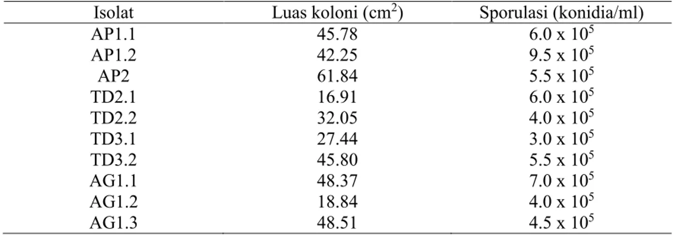 Tabel 1. Penghitungan luas koloni dan sporulasi masing-masing isolat yang berumur 14 hari   Isolat  Luas koloni (cm 2 )  Sporulasi (konidia/ml) 