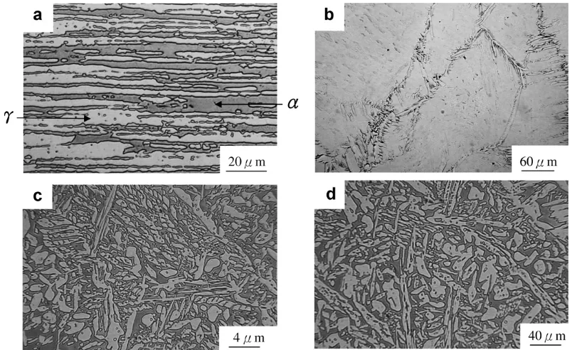 Fig. 2. Metallographs showing the microstructures of steel plate and laser weld in distinct conditions: (a) as-received steel plate, (b) AW, (c) AW15 and (d)AW60 specimens.