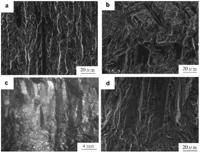 Fig. 7. The typically macroscopic fatigue-fractured appearance of (a) steel plate, (b) 1050 �C/60 min post-heated weld, (c) the variation of surfaceroughness in corresponding specimens and (d) the Ra and Rz values of the specimens.